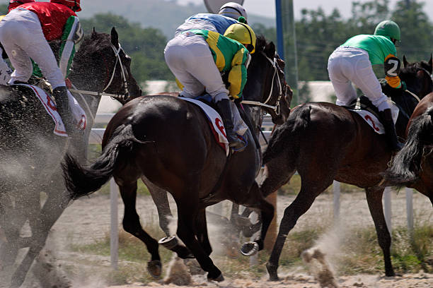istock Horse racing in Pyatigorsk. 500589030
