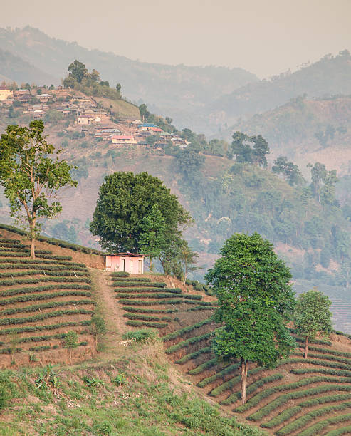 istock chinese house on the mountain 500592431