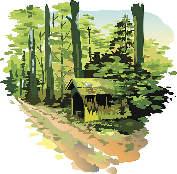 shelter - forest woods hiking dirt road stock-grafiken, -clipart, -cartoons und -symbole