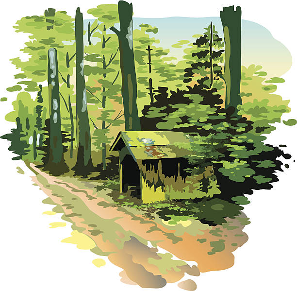 illustrations, cliparts, dessins animés et icônes de abri - forest woods hiking dirt road