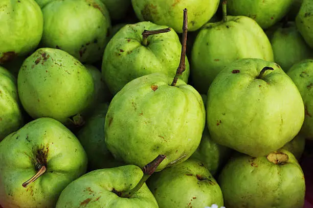 fruit guava fresh-in the market