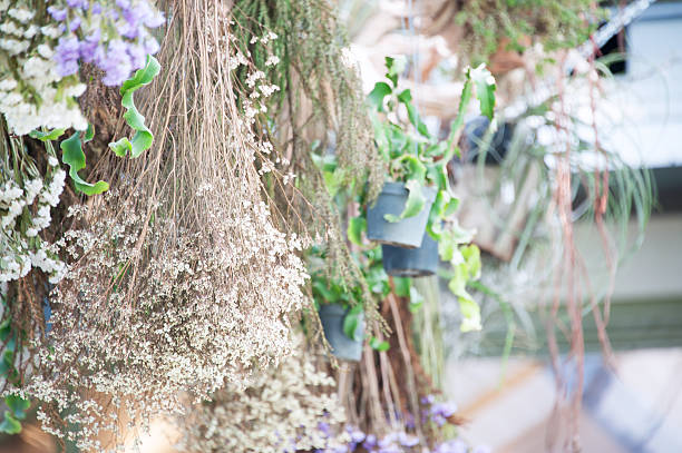 istock Home garden happy place for you 500595696