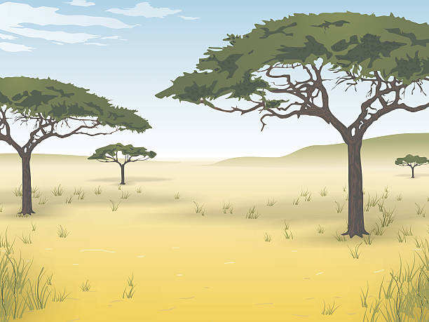 illustrations, cliparts, dessins animés et icônes de savane africaine - savane africaine