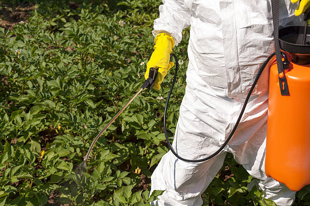 istock Pesticide spraying 500596037