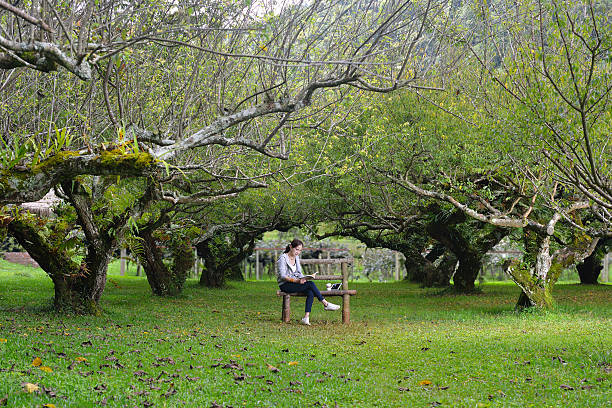 istock Woman in the park 500596474