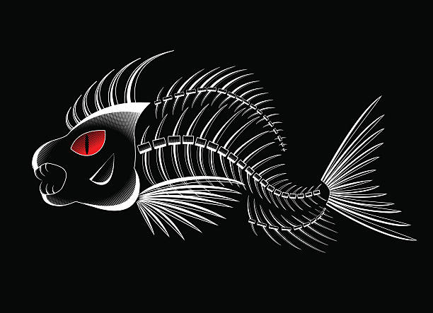 illustrazioni stock, clip art, cartoni animati e icone di tendenza di scheletro di pesce - animal skeleton illustrations