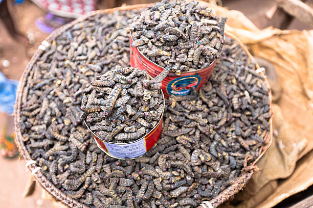 istock Smoked silkworms, Burkina Faso 500598600
