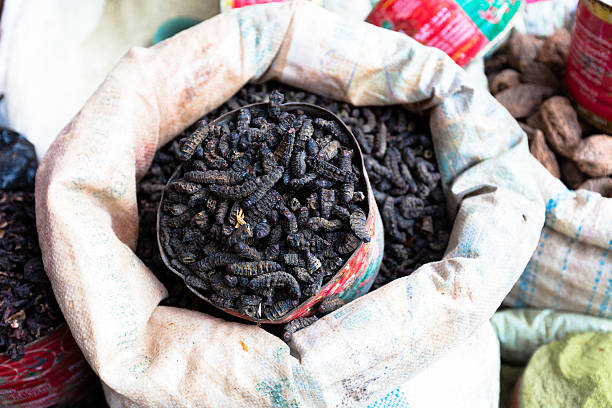 istock Smoked silkworms, Burkina Faso 500598636
