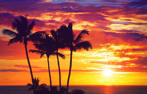 гавайская закате - waikiki beach стоковые фото и изображения