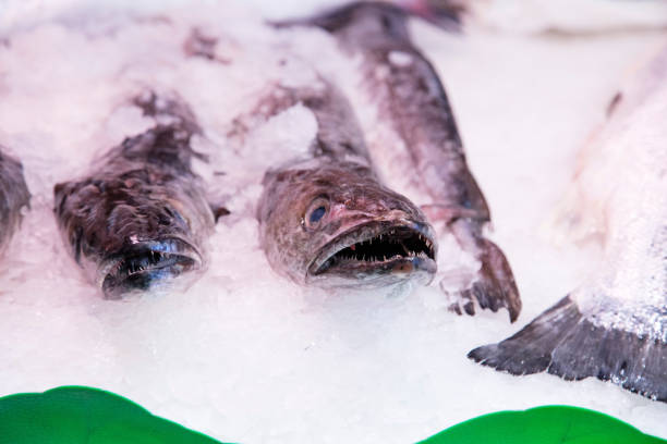 istock Fresh fish at a Spanish market 500598984
