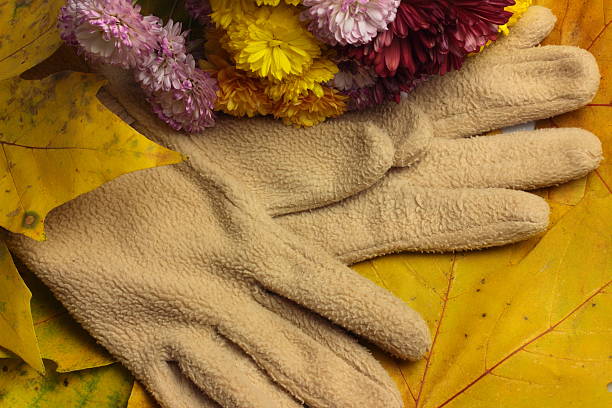 istock colors of autumn 500600136