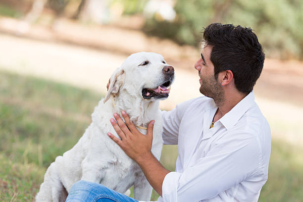 istock man with old senior labrador dog 500600260