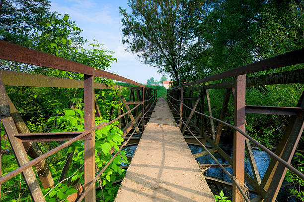istock Rusty metal bridge across the river 500600816
