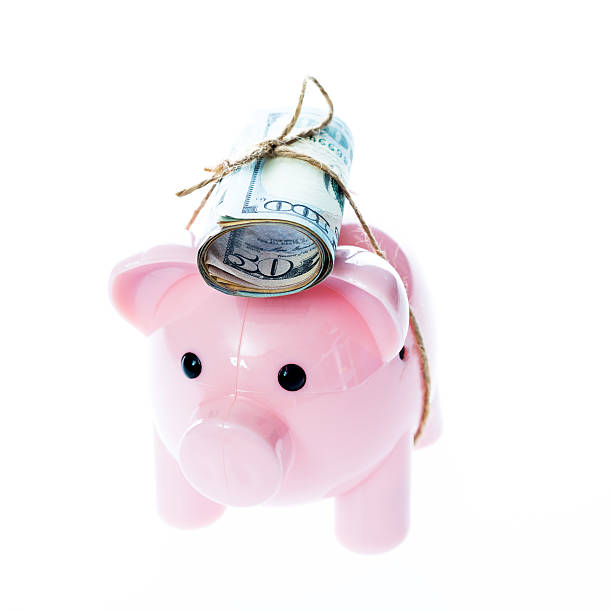 istock Piggy bank with currency 500602902