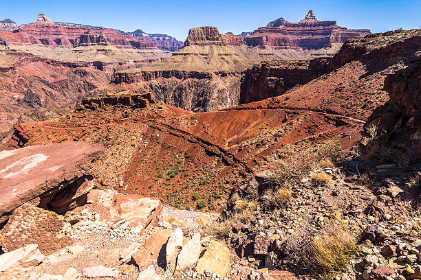 Grand Canyon Landscape Overview on Trail