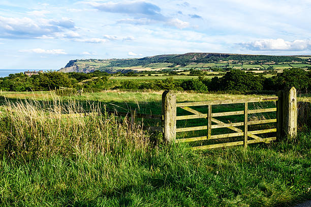 campagna dello yorkshire vicino al robin hoods bay e cleveland modo - robin hoods bay foto e immagini stock