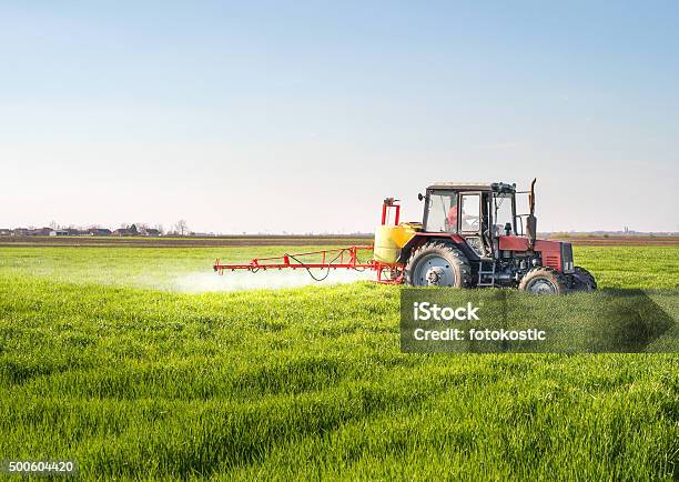 Tractor Spraying Wheat Field Stock Photo - Download Image Now - Tractor, Fertilizer, Grass