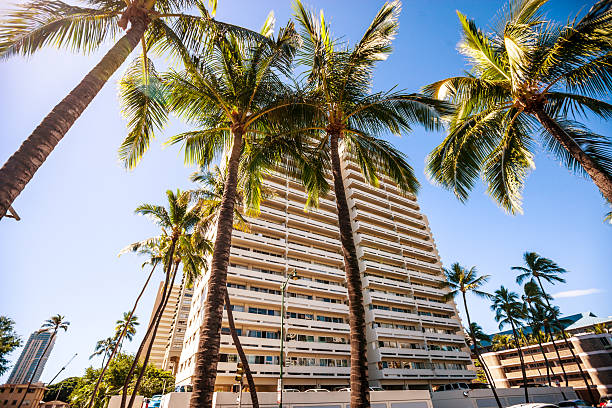 istock Apartment buildings in Waikiki 500610825