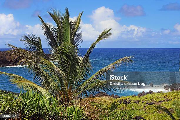 Spiaggia Rocciosa Maui Hawaii - Fotografie stock e altre immagini di Ambientazione esterna - Ambientazione esterna, Composizione orizzontale, Fotografia - Immagine