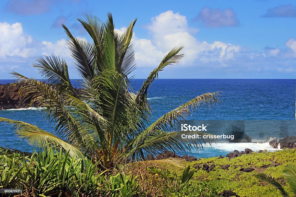 Rocky praia, Maui, havaí - Royalty-free Ao Ar Livre Foto de stock