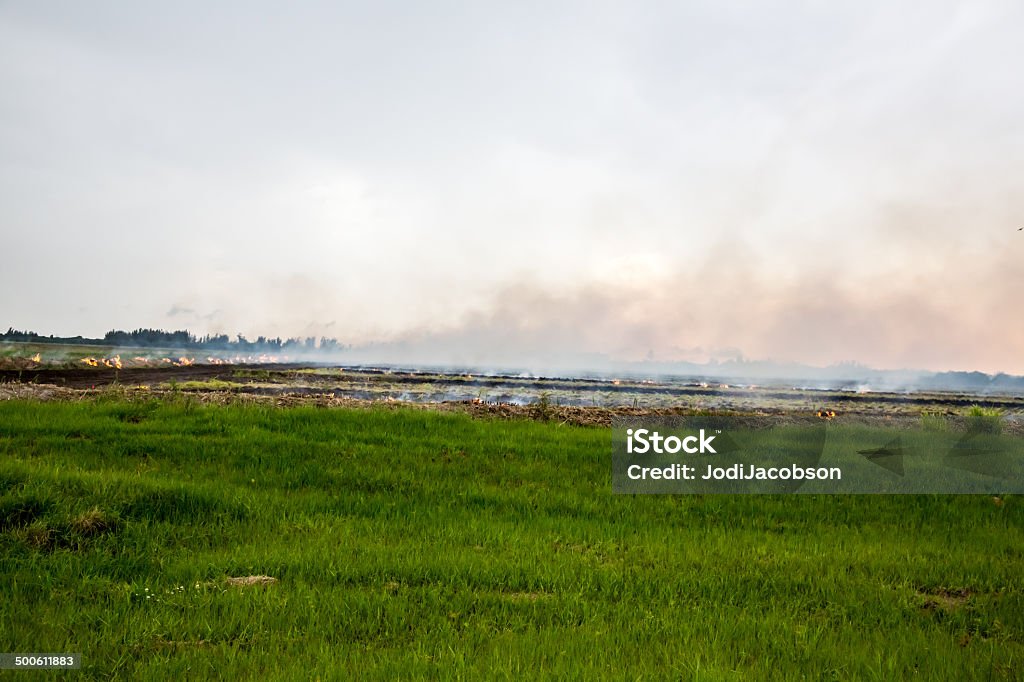 Ackerland Conrtolled brennen auf - Lizenzfrei Agrarbetrieb Stock-Foto