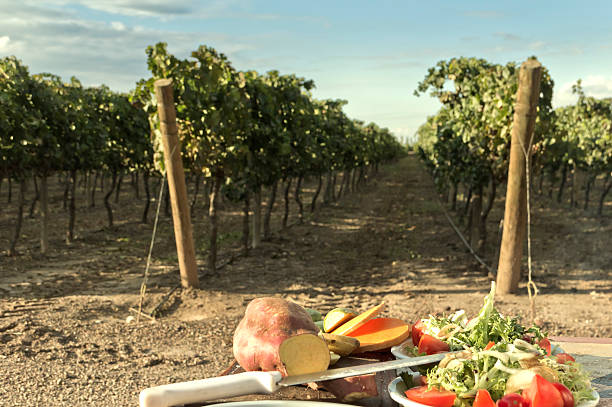 кулинарный между виноградник - plant farm field day стоковые фото и изображения