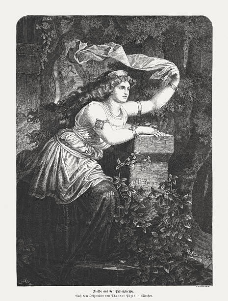 ilustraciones, imágenes clip art, dibujos animados e iconos de stock de iseult en el castillo de escaleras, publicado en 1875 - isolde