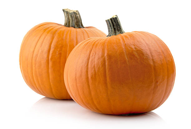 istock Studio shot of pumpkins isolated on white 500612216