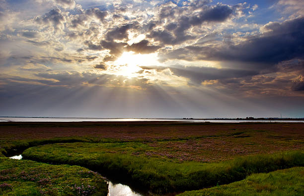 istock Light of the Norfolk Broads 500613284