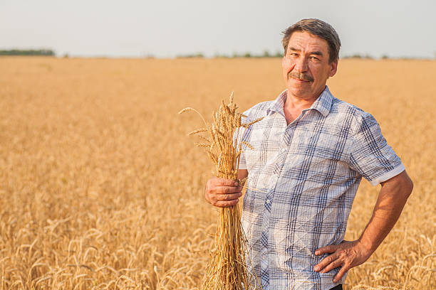 istock farmer standing in a wheat field 500613470
