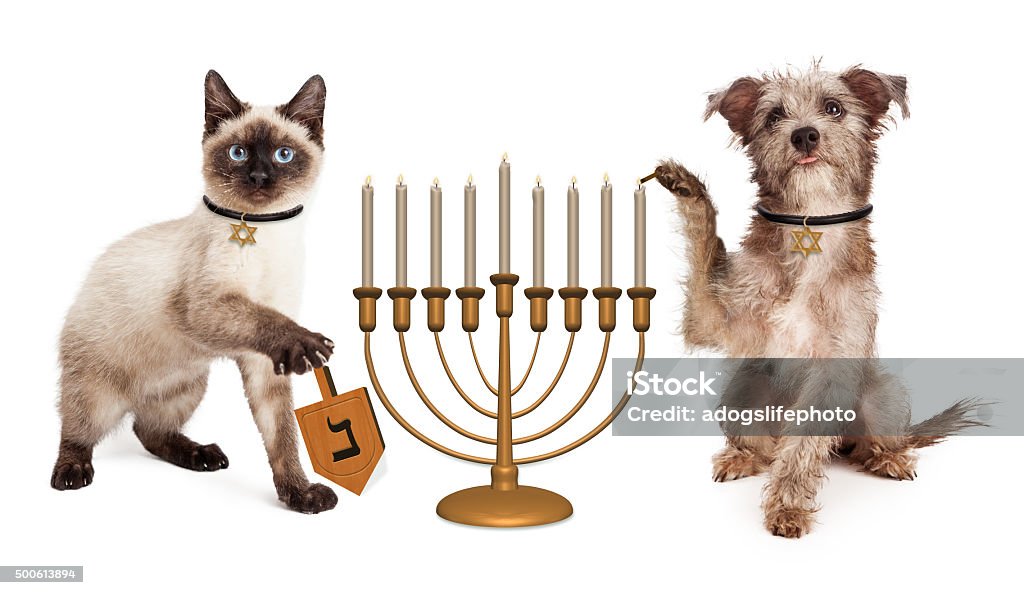 Dog and Cat Hanukkah Celebration Cute puppy dog lighting a menorah candelabrum and a kitten spinning a wooden dreidel in celebration of the Jewish Hanukkah holiday Hanukkah Stock Photo