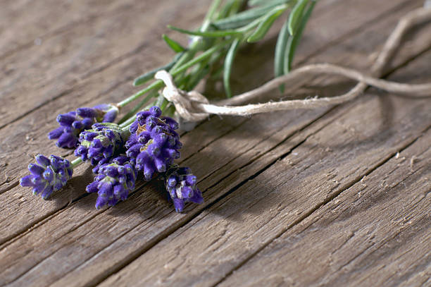 istock Fresh lavender flowers on weathered wood 500614196