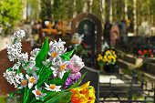blumen-und-friedhof.jpg?b=1&s=170x170&k=20&c=sLA4vICMZvPjVaQZMzNa_MvDEfvmiEQi1gAAbeXOwWM=
