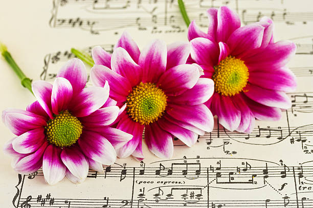 istock Flowers on sheet music 500615052