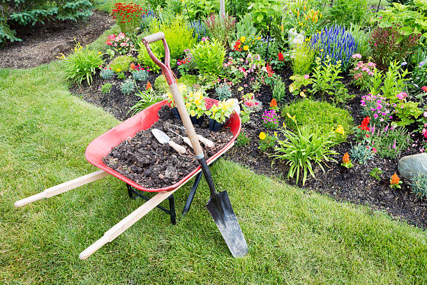 giardino paesaggistico lavoro svolto un'aiuola - shovel trowel dirt plant foto e immagini stock