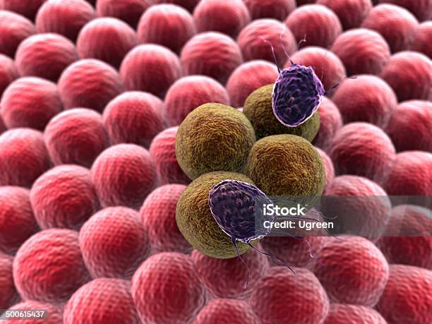 Krebszelle Makrophage Stockfoto und mehr Bilder von AIDS - AIDS, Anatomie, Antikörper