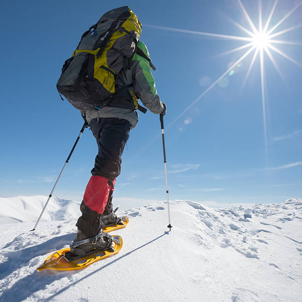 istock Hiker snowshoeing in winter mountains during sunny day 500615552