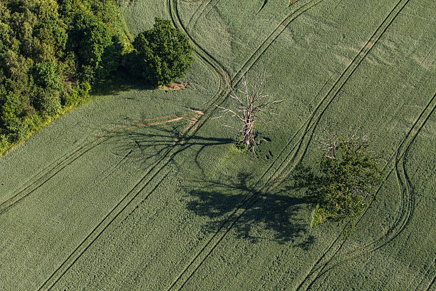 istock aerial view of the green harvest fields 500616562