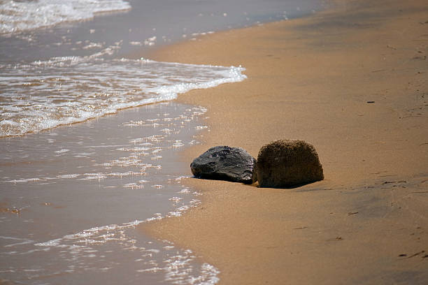 istock Waves and Rocks on the Beach 500616880