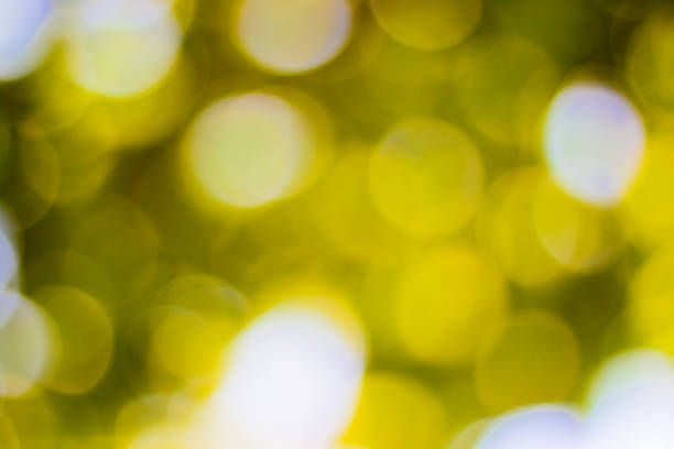 istock bokeh blurred out of focus background 500617593