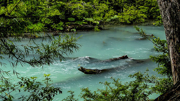 Glacier river River nahuel huapi national park stock pictures, royalty-free photos & images