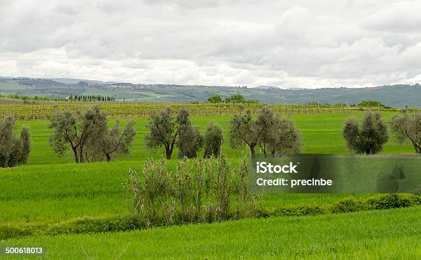 Foto de Paisagem Toscana e mais fotos de stock de Agricultura - Agricultura, Ajardinado, Azul