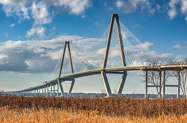 ponte do rio cooper brilhante - charleston south carolina south carolina bridge suspension bridge imagens e fotografias de stock