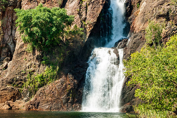 водопад wangi, litchfield национальный парк, австралия - wangi falls стоковые фото и изображения