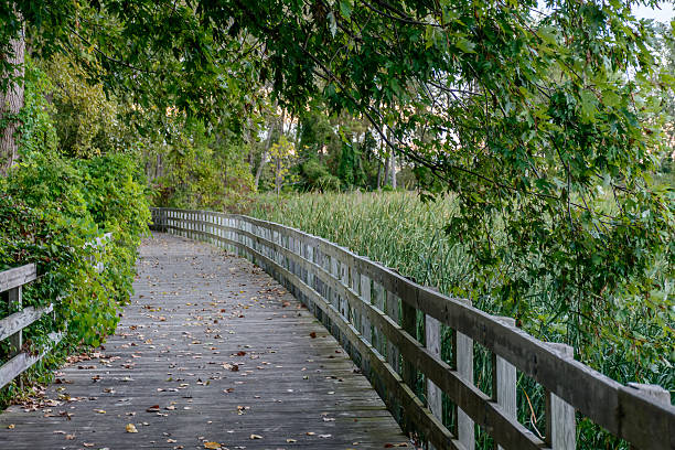 istock Walking through the park on a early fall day. 500624026