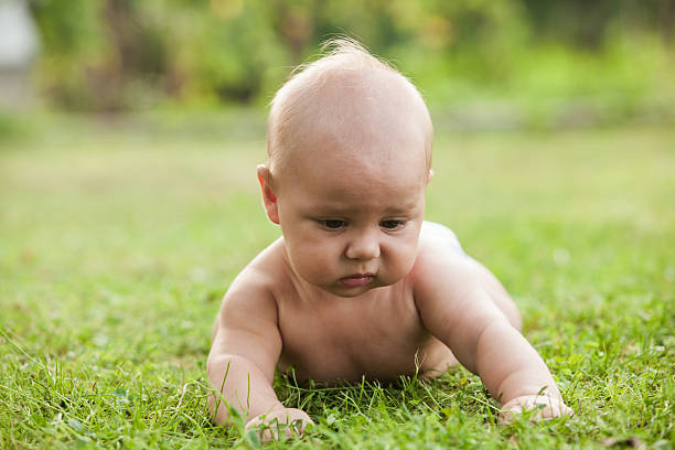 istock Little boy crawling on lawn 500625060