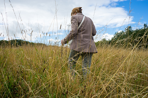 Senior woman rambler walking through a field of long grass in the British Countryside.  She uses a stick to aid her way.  She wears spectacles.