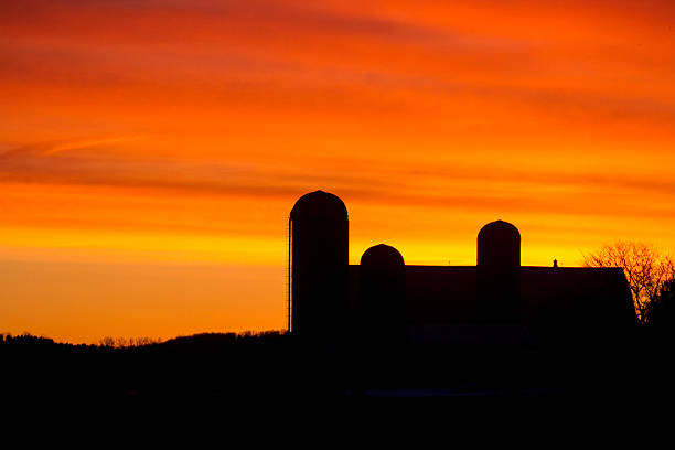 istock Farm Buildings At Sunrise 500625268