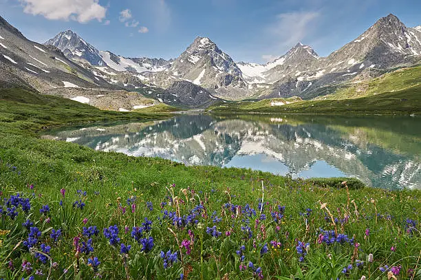 Photo of Beautiful summer landscape, Altai mountains Russia.