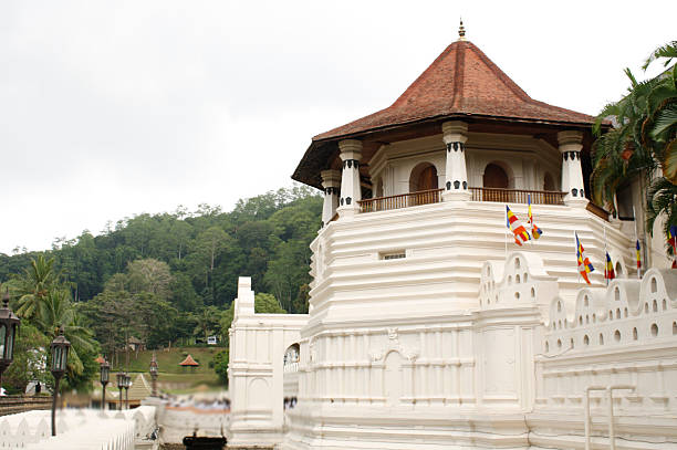 istock Temple of Tooth 500643186
